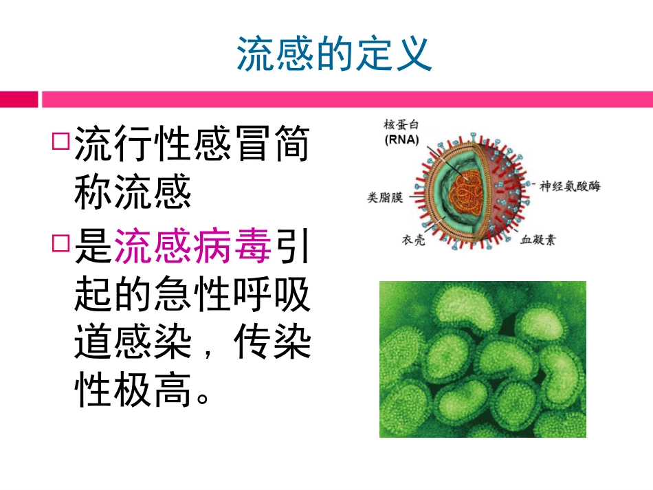 预防流感课件_第3页