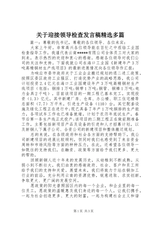 关于迎接领导检查发言稿精选多篇