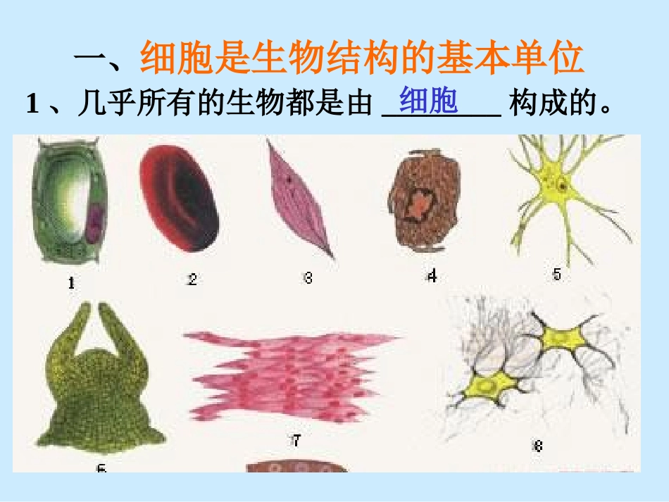 细胞的结构和功能(共27张ppt)_第3页