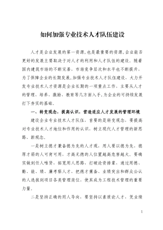 如何加强专业技术人才队伍建设