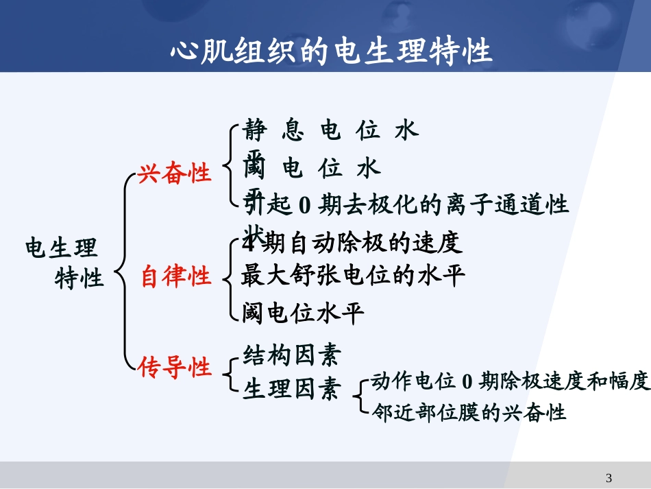 抗心律失常药  课件_第3页