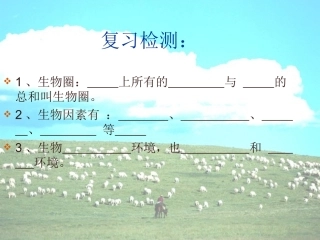 新人教版第二节生物与环境组成生态系统