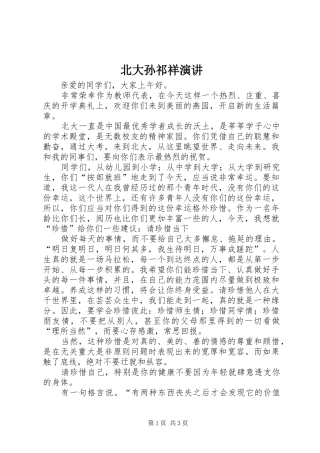 北大孙祁祥演讲