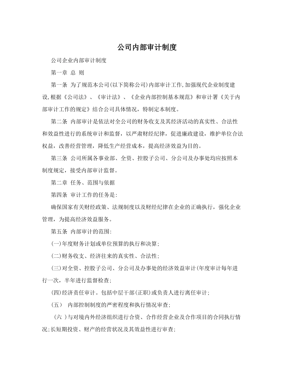 公司内部审计制度 (2)_第1页