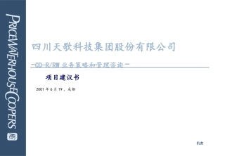普华永道项目建议书