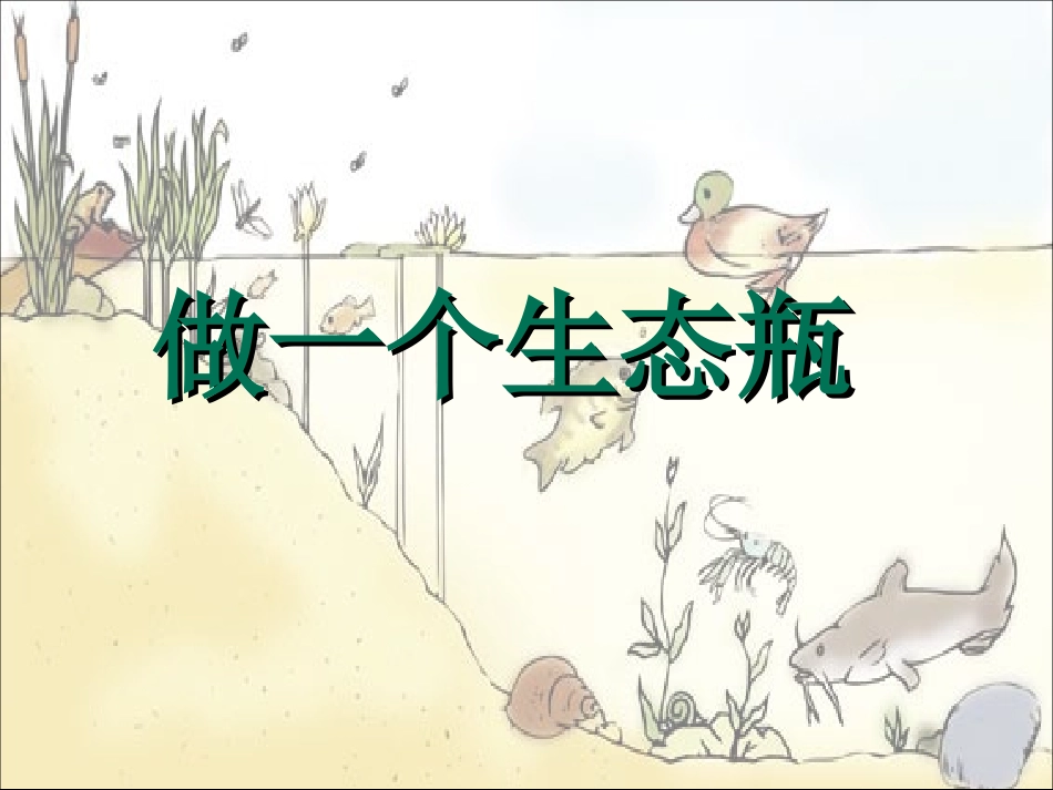 五年级科学做一个生态瓶_第1页