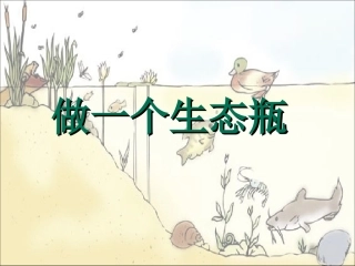 五年级科学做一个生态瓶