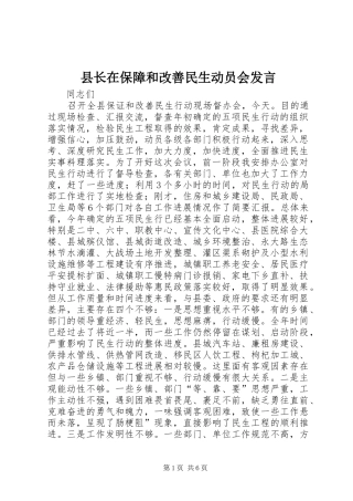 县长在保障和改善民生动员会发言