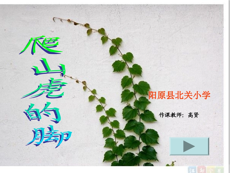 爬山虎的脚课件_第1页