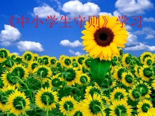 小学生环保主题班会[1].ppt123