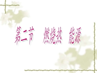燃烧热与能源课件