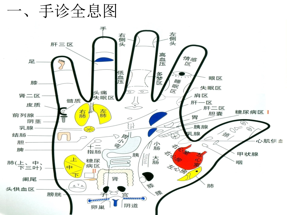 中医手诊课程_第2页