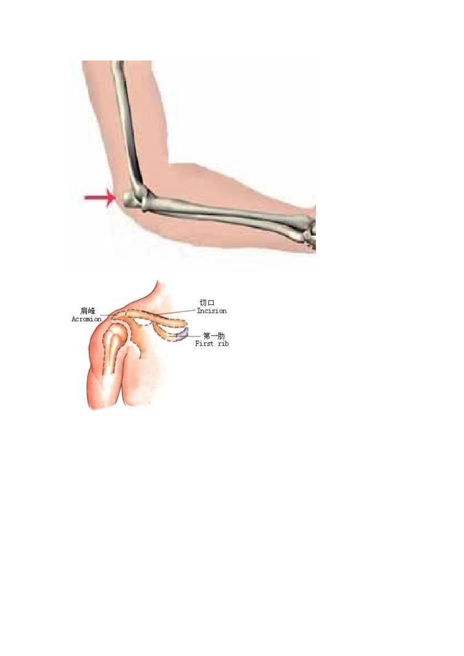 四肢长度及周径测量_第3页