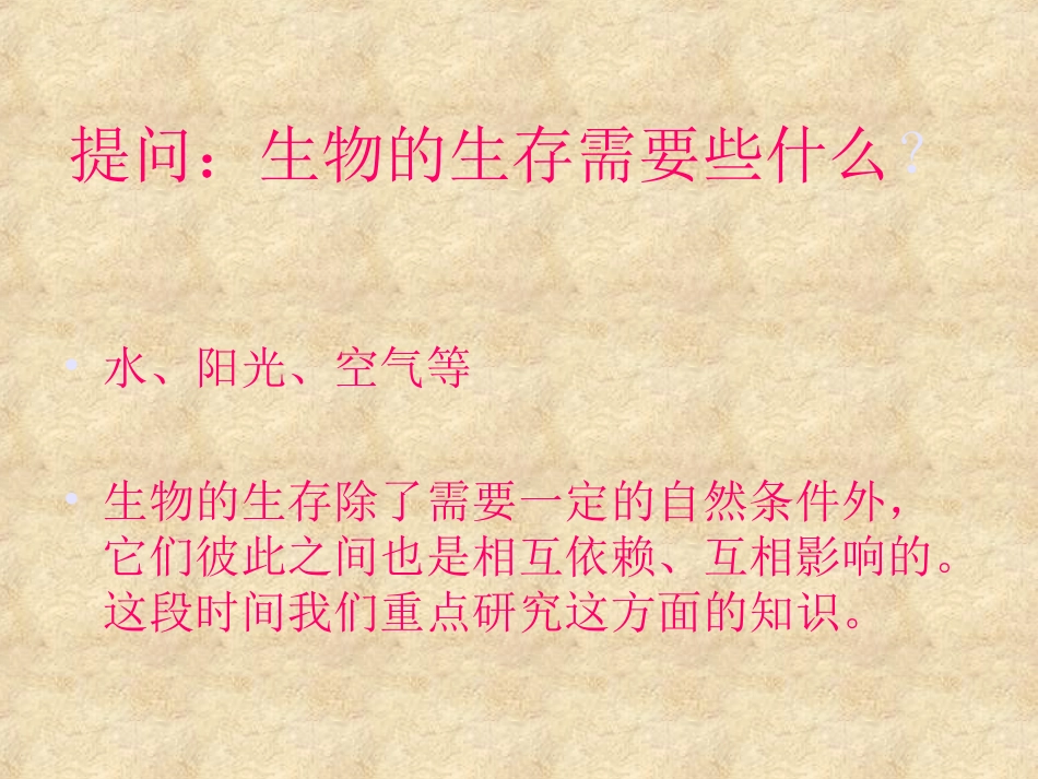 小学科学食物链和食物网_第3页