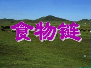 小学科学食物链和食物网
