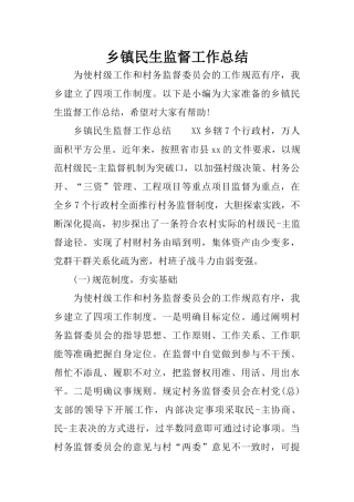 乡镇民生监督工作总结