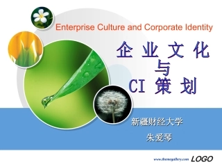 企业文化与CI策划zaq