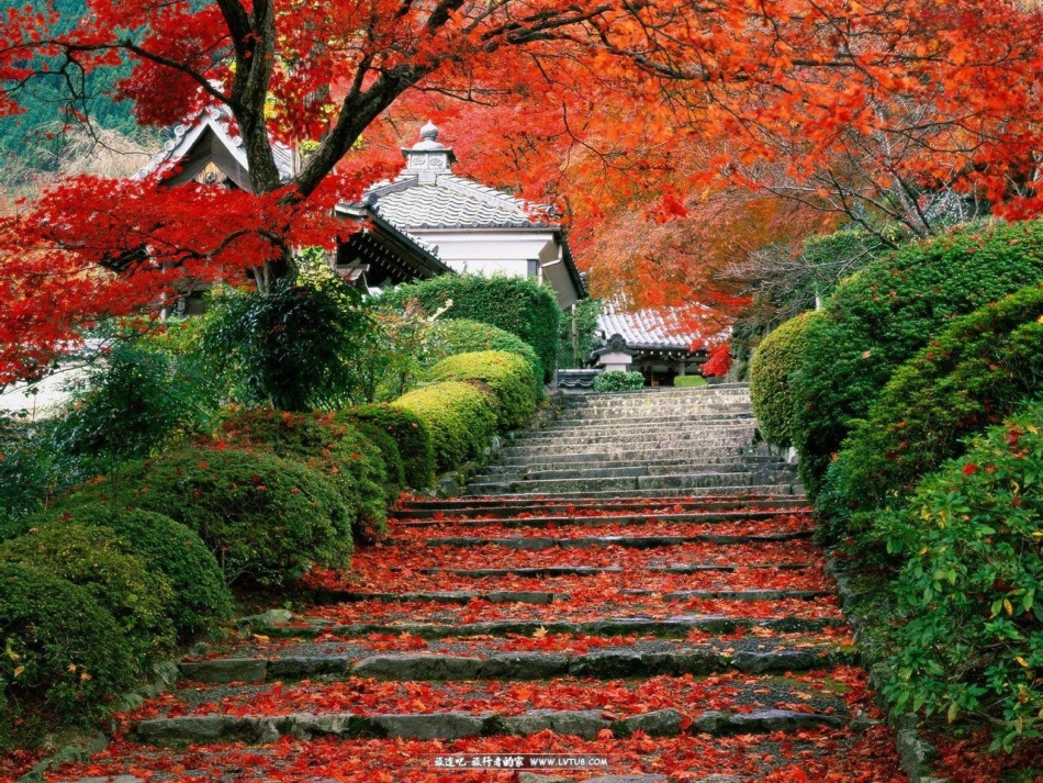 写景状物作文课件_第3页