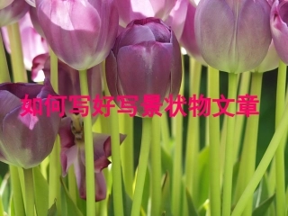 写景状物作文课件