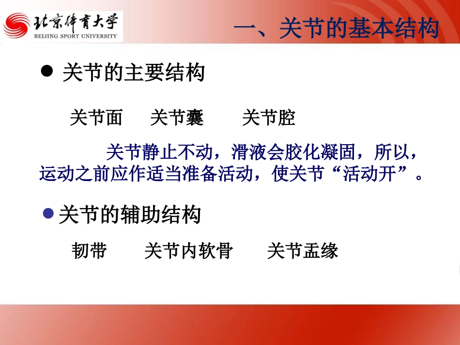 关节生物力学_第2页