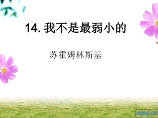 苏教版四年级语文下册14.《我不是最弱小的》PPT课件