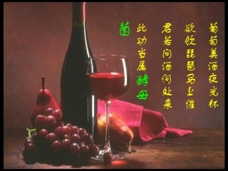 高中生物选修一1.1 果酒和果醋的制作