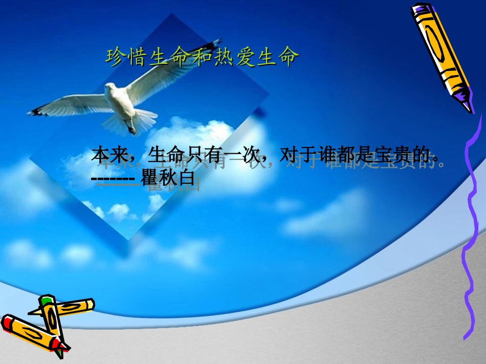 交通安全教育主题班会PPT课件3_第2页