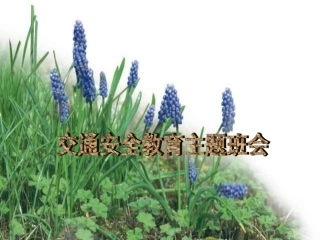 交通安全教育主题班会PPT课件3