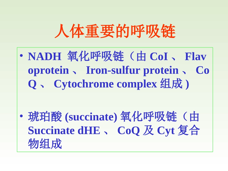 线粒体呼吸链_第2页