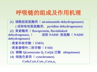 线粒体呼吸链