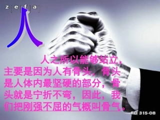 谈骨气.ppt