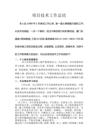 路桥 中级工程师项目技术工作总结-佳