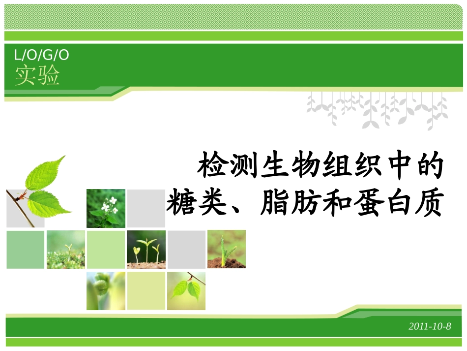 检测生物组织中的还原糖、脂肪和蛋白质_第1页