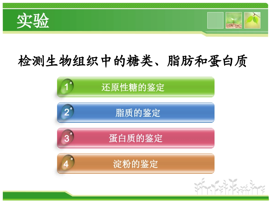 检测生物组织中的还原糖、脂肪和蛋白质_第2页