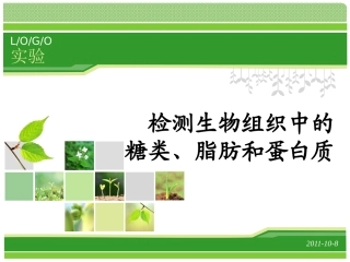 检测生物组织中的还原糖、脂肪和蛋白质