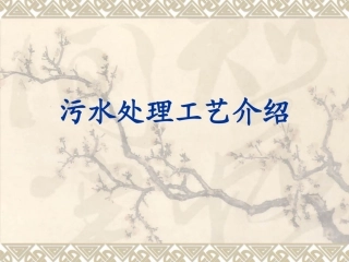 污水处理工艺介绍ppt