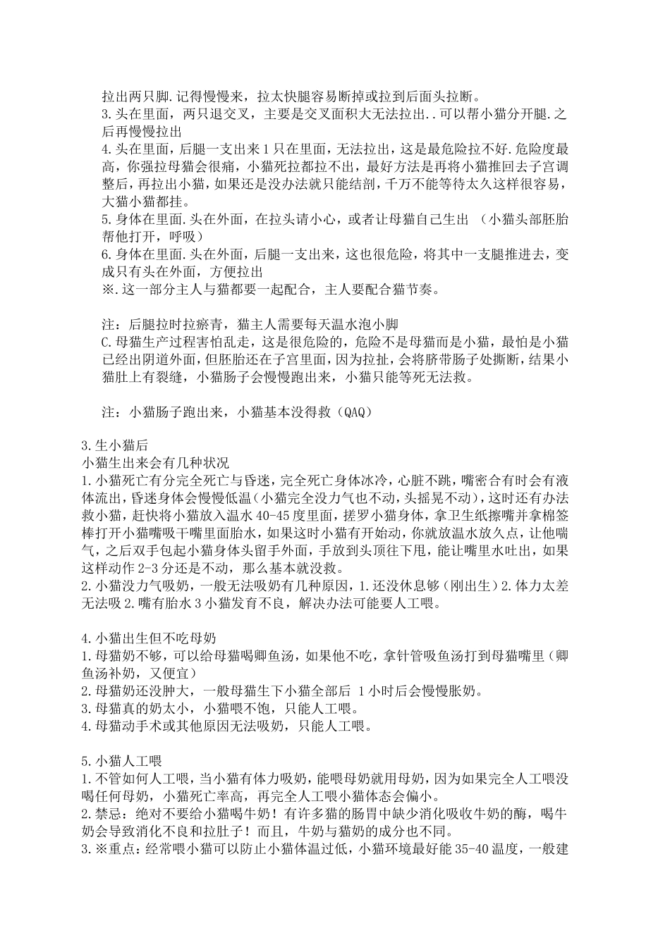 怎样给猫接生(全套攻略)_第3页