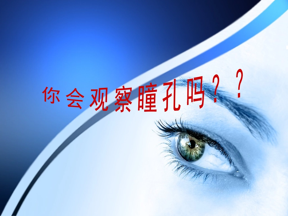 瞳孔观察PPT(1)_第2页