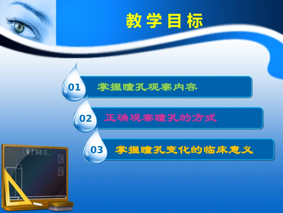 瞳孔观察PPT(1)_第3页