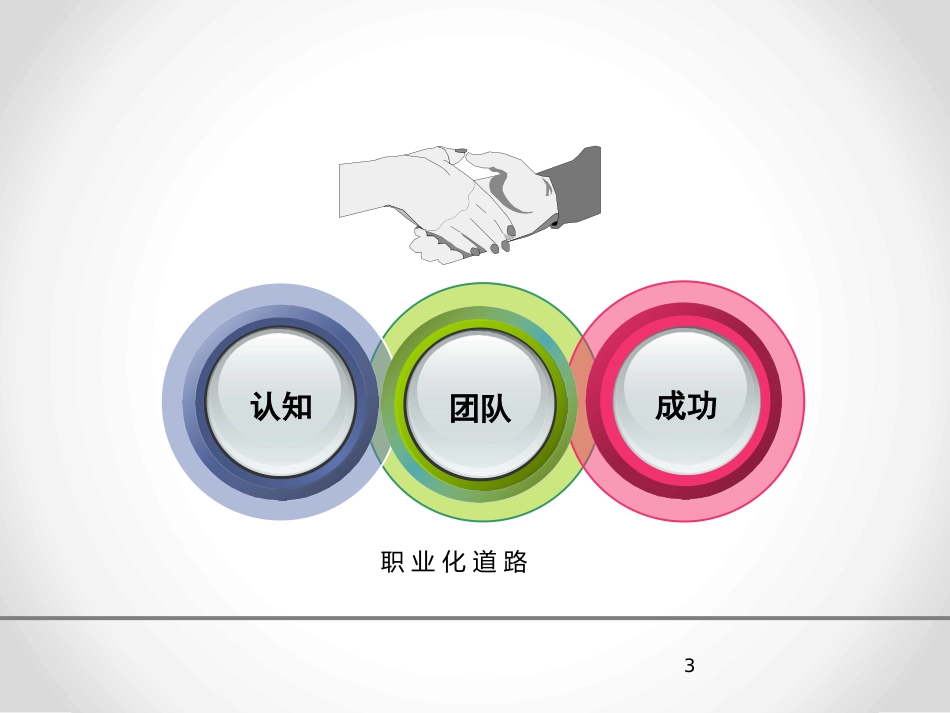 职业化与职业素养_第3页