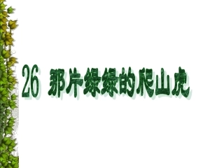 那片绿绿的爬山虎 四年级语文上 ppt课件
