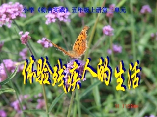 五年级综合实践活动——体验残疾人的生活