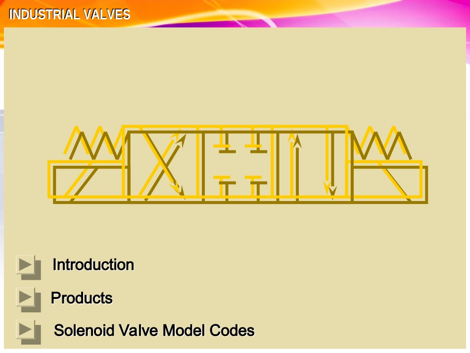 注塑机液压阀图解_第2页