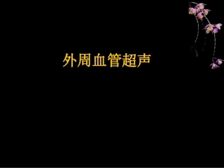 外周血管超声表现