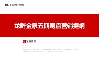 龙畔金泉五期尾盘营销方案6.23(终)