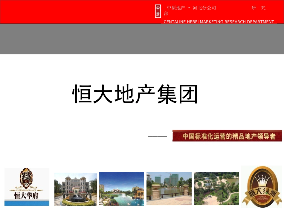 恒大地产集团发展历史及组织架构_第2页