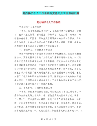 党办秘书个人工作总结与党务公开工作总结汇编