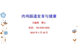 肉鸡肠道健康管理