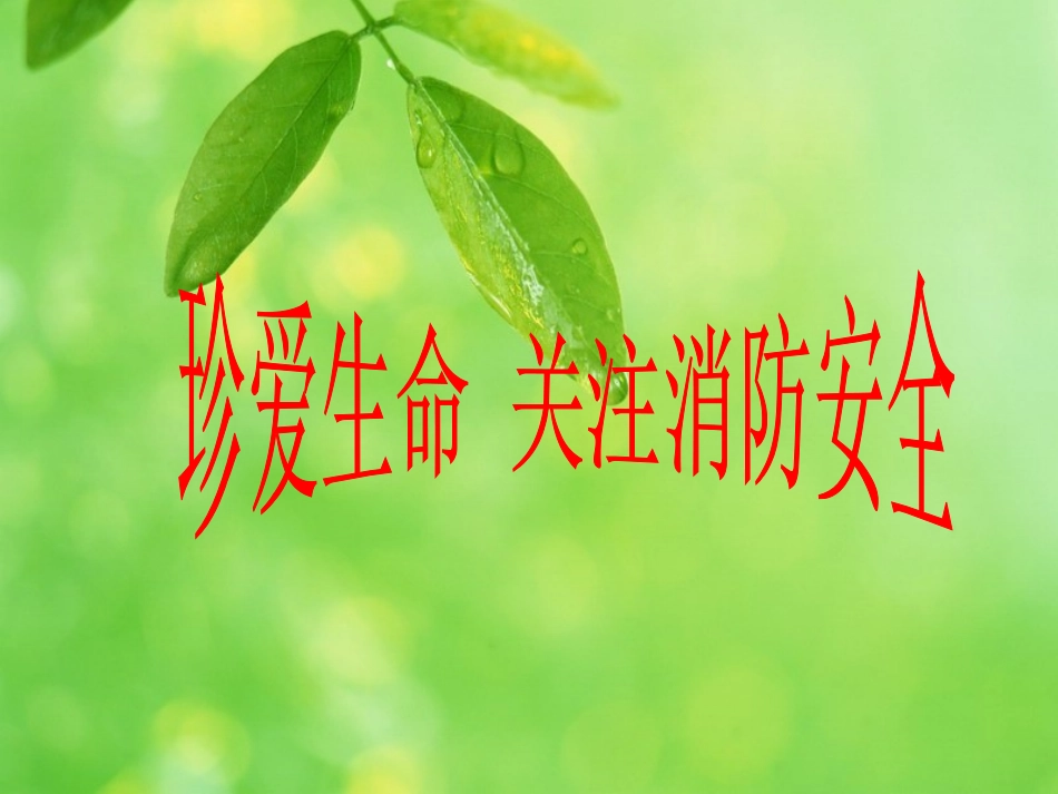 珍爱生命 关注消防安全_第1页