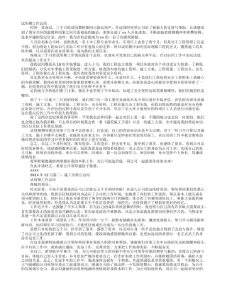 施工员试用期工作小结